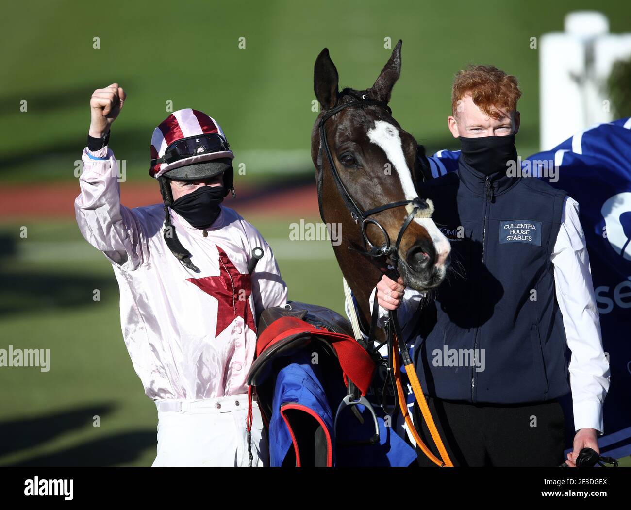 Black tears horse cheltenham hires stock photography and images Alamy