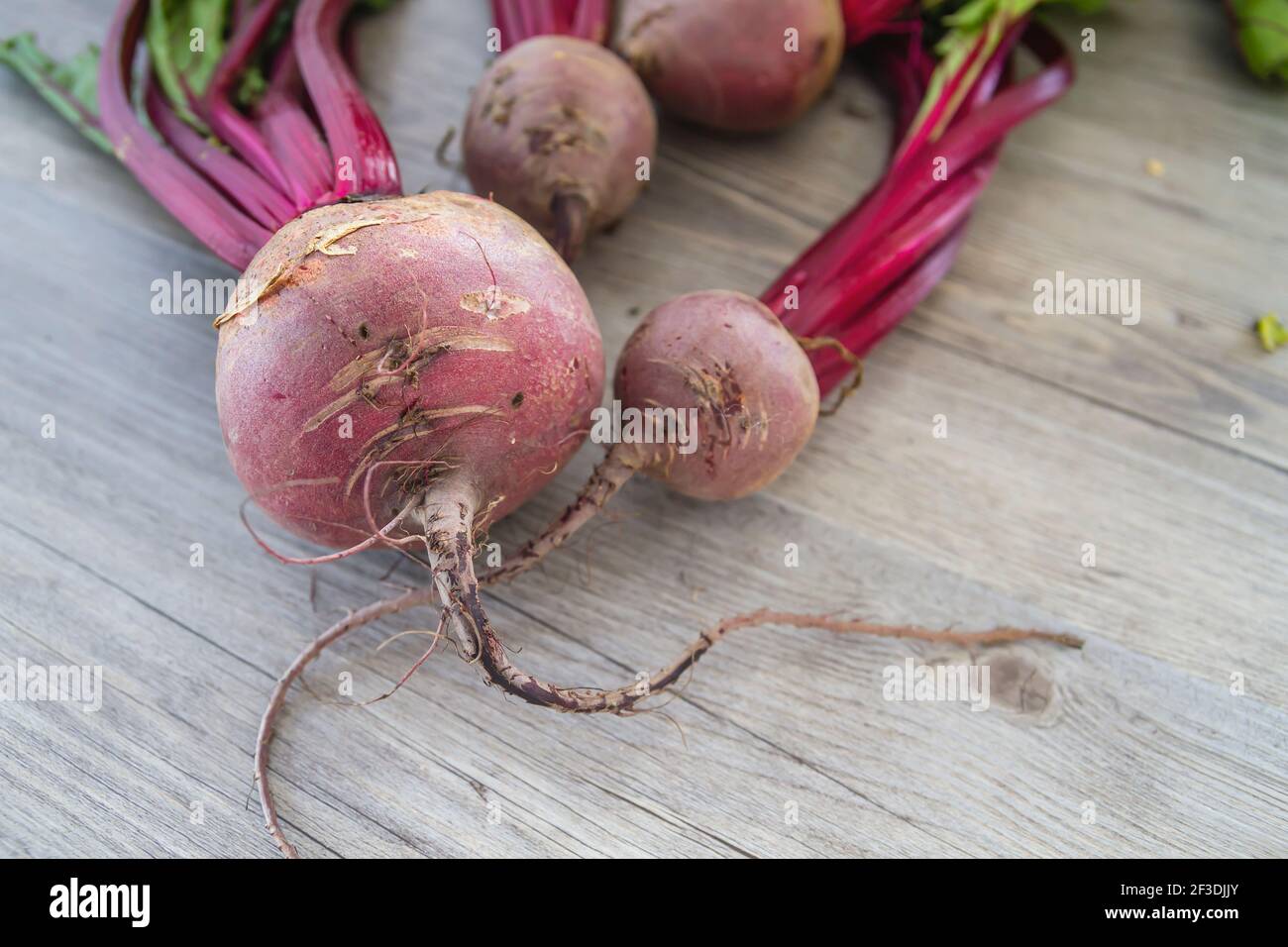 Table Beetroot Red beetroots on the kichen table Stock Photo - Alamy