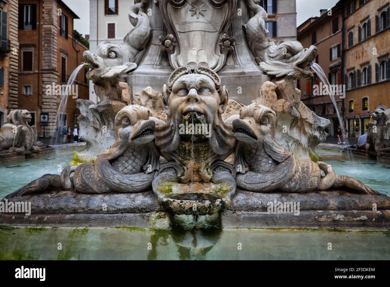 Scary dolphins hires stock photography and images Alamy