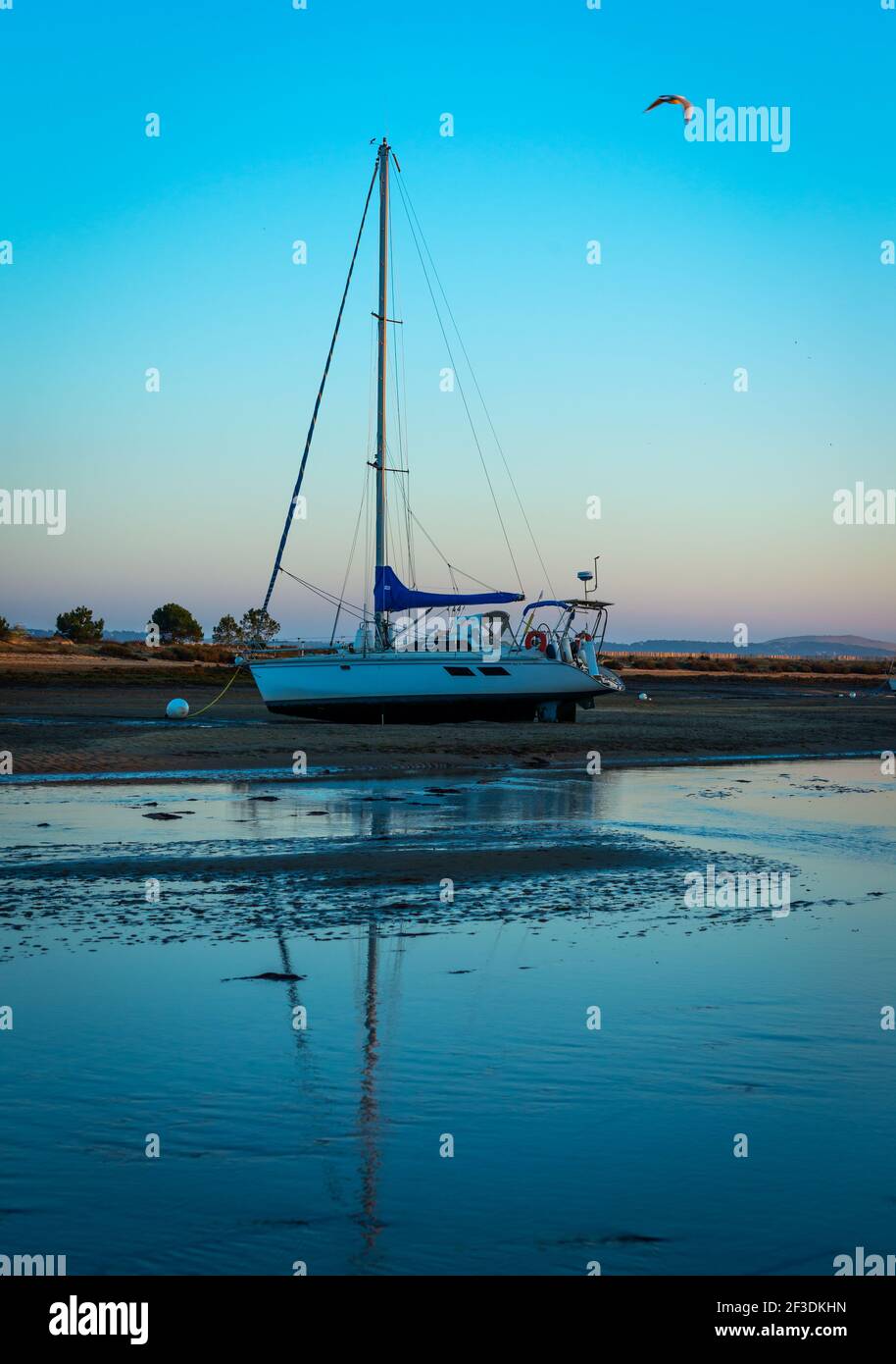 Blue hour photo of sailing boat moored on beach at low tide. Bird flying above boat at ocean coast in evening. Stock Photo