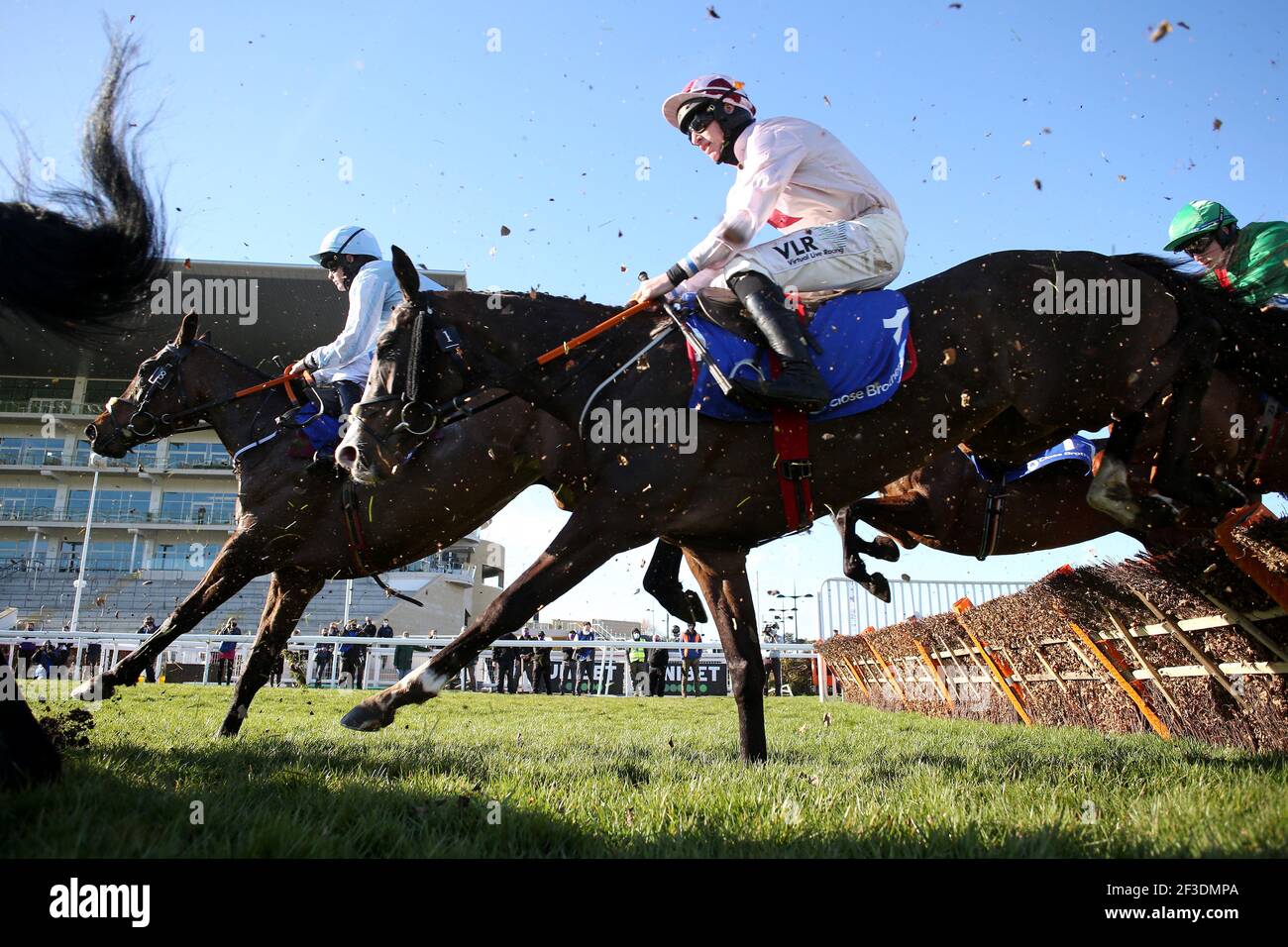 Black tears horse cheltenham hires stock photography and images Alamy