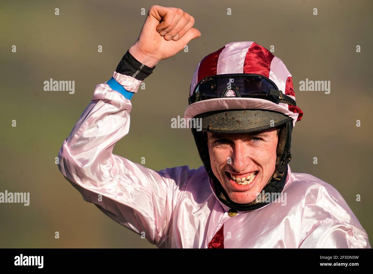 Black tears horse cheltenham hires stock photography and images Alamy