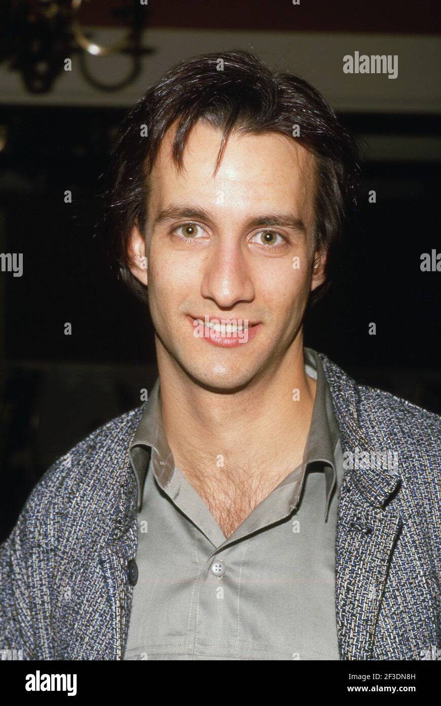 Bronson pinchot hi res stock photography and images Alamy