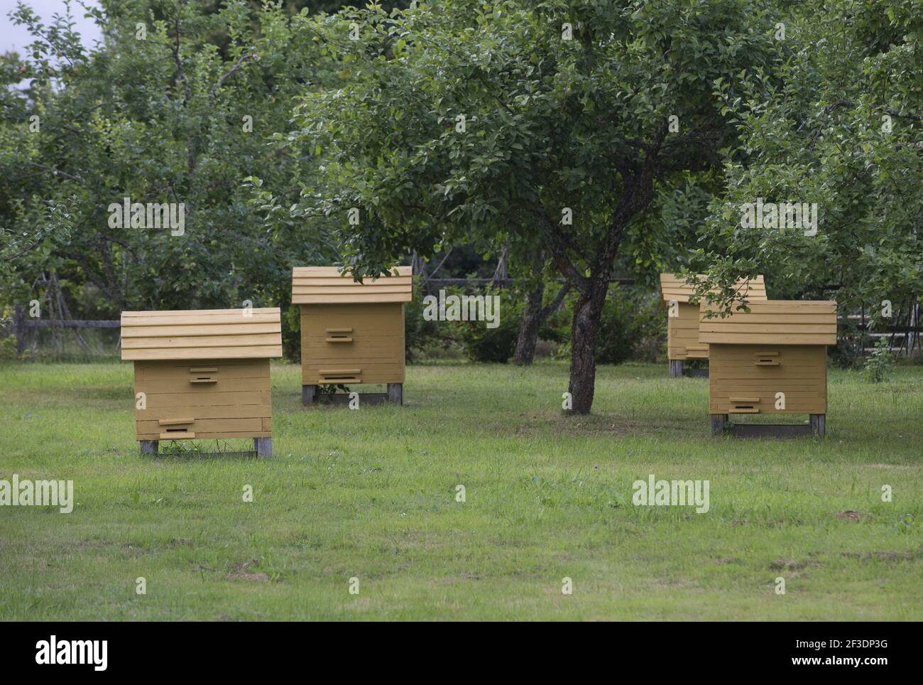 A closeup shot of beehives in a field Stock Photo
