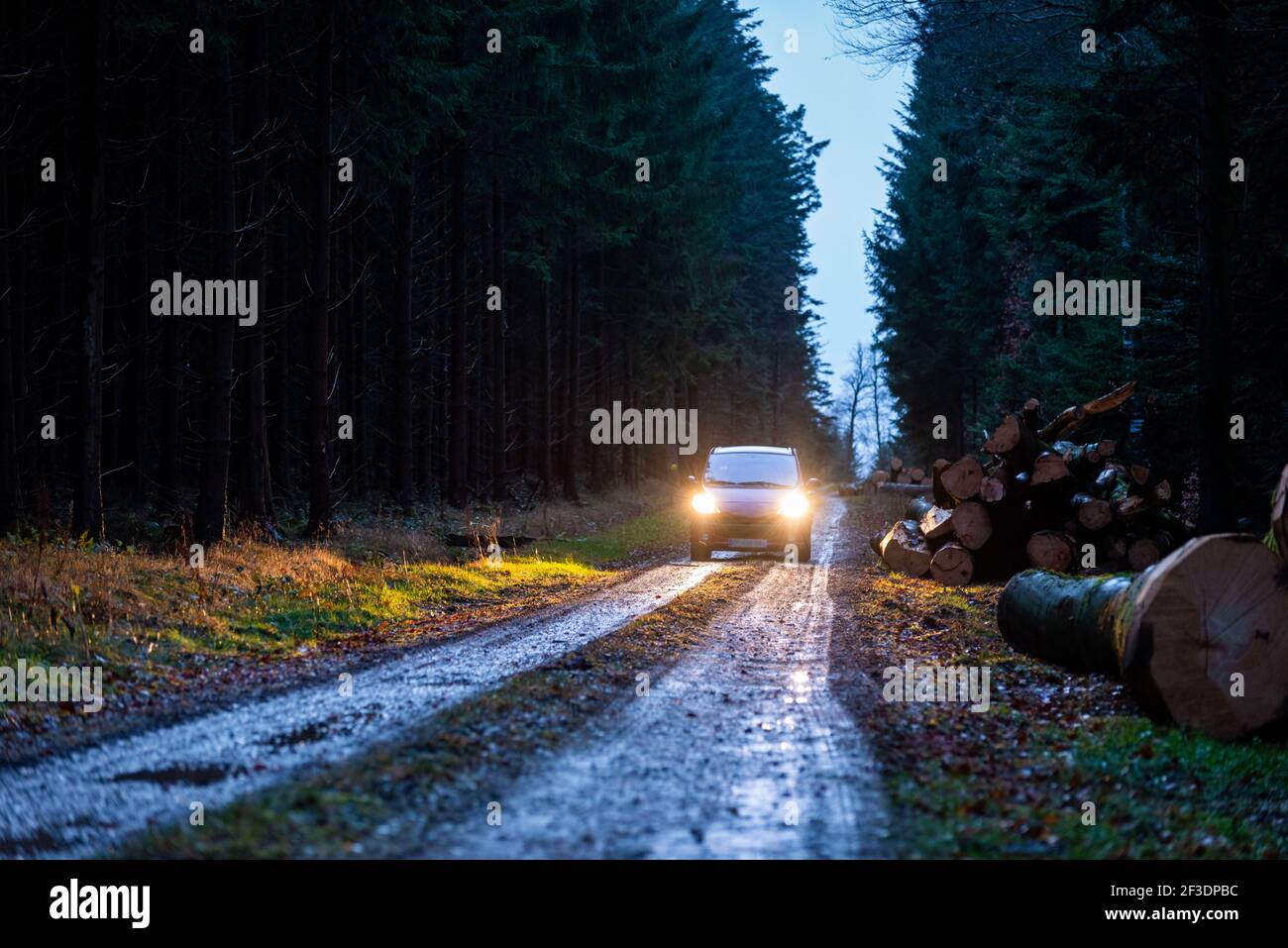 Car with headlights facing us on a dirt road, at dawn, in a forest with ...
