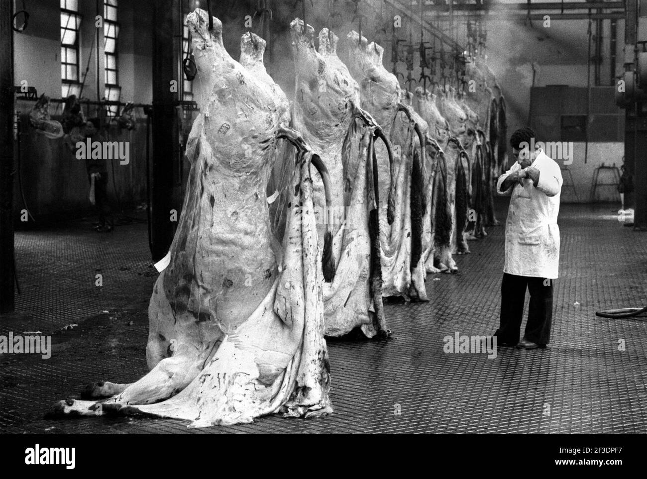 Abattoir workers Black and White Stock Photos & Images - Alamy