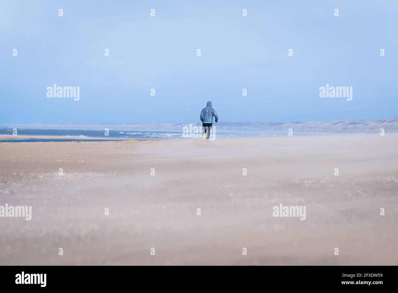 Low angle view on sandy sea coast. Alone person in warm clothing walking away in distance. Beach in low season. Stock Photo