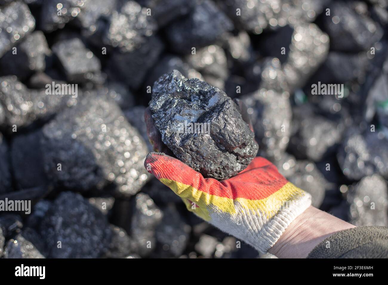 Extraction of mineral resources of hard coal. A man holds in his hand a large piece of coal, mineral fuel for home stoves and boilers in a country hou Stock Photo