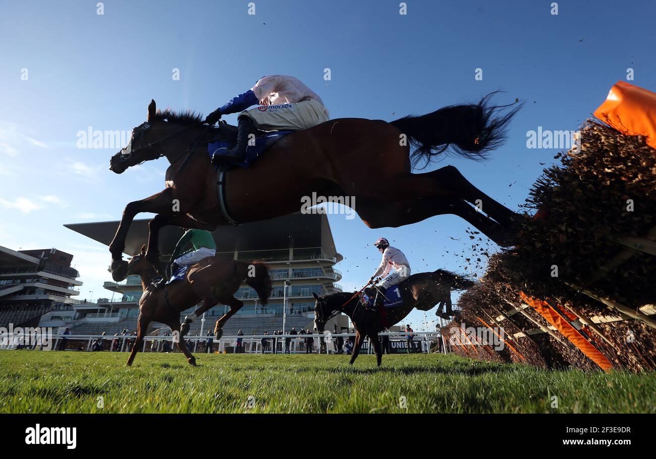 Black tears horse cheltenham hires stock photography and images Alamy