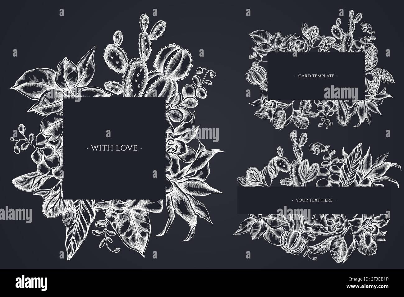 Floral frames with chalk ficus, iresine, kalanchoe, calathea, guzmania, cactus Stock Vector