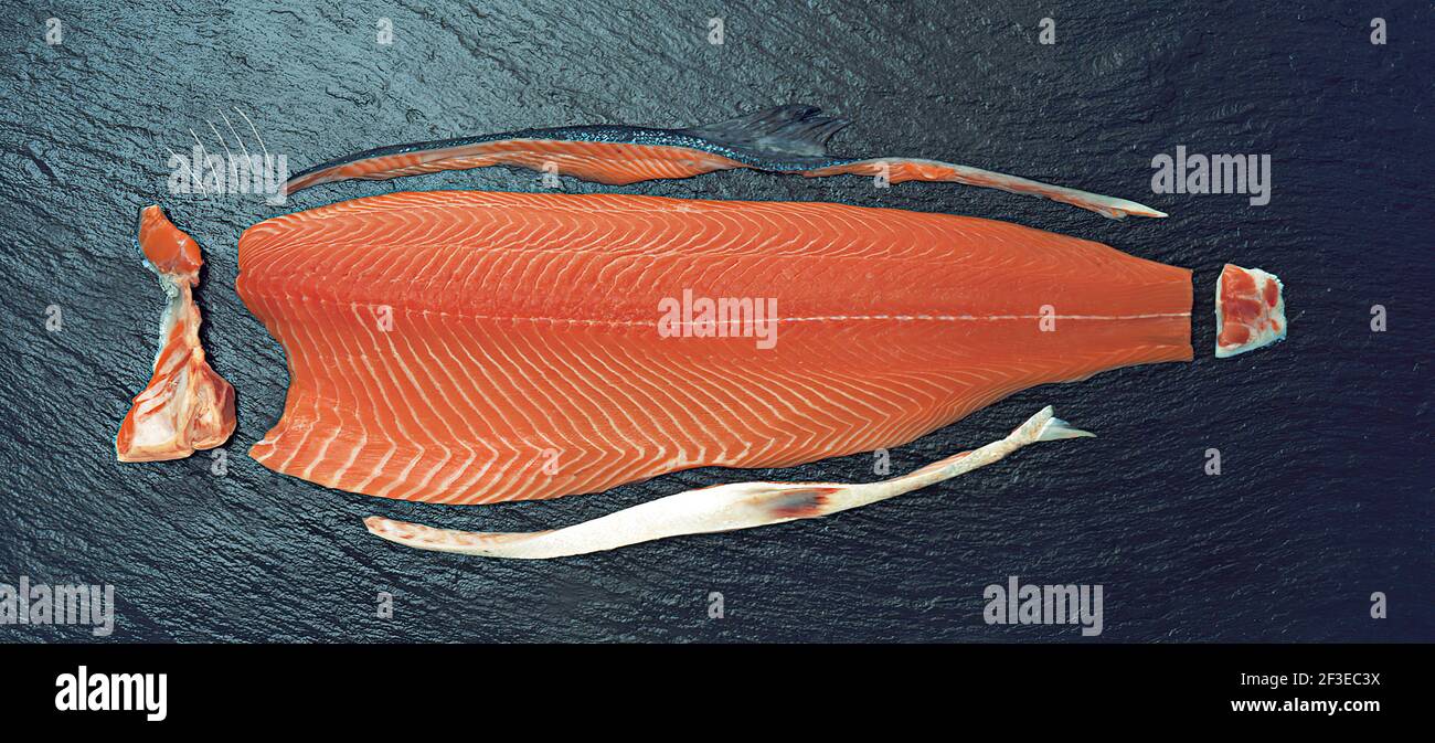 Salmon trimming. Spine removed, abdominal bones, rear fins, clavicle