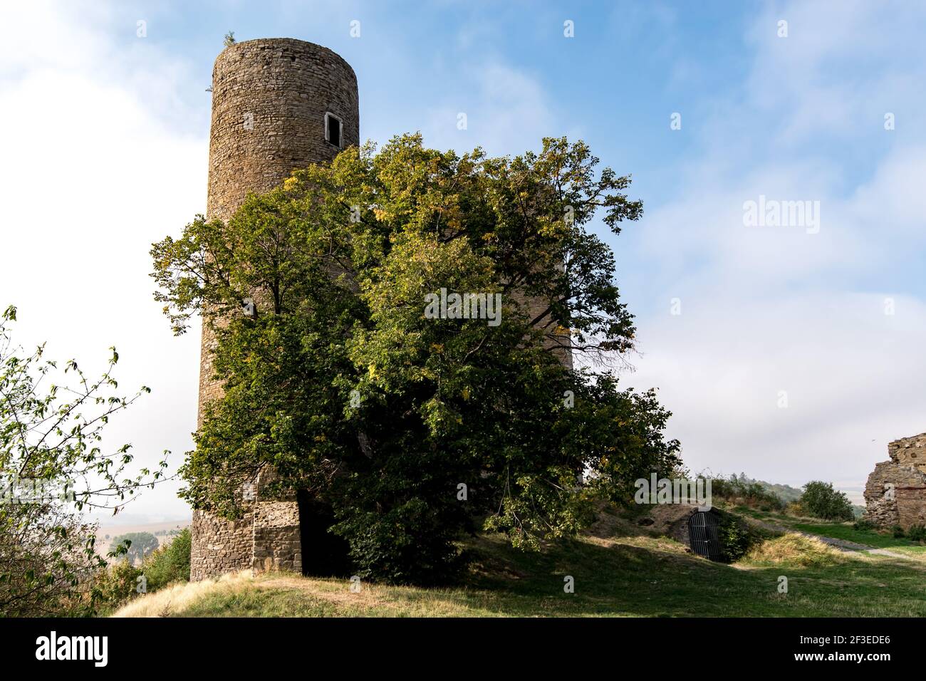 A view of old ruin Arnstein castle covered with a tree in Saxony-Anhalt ...