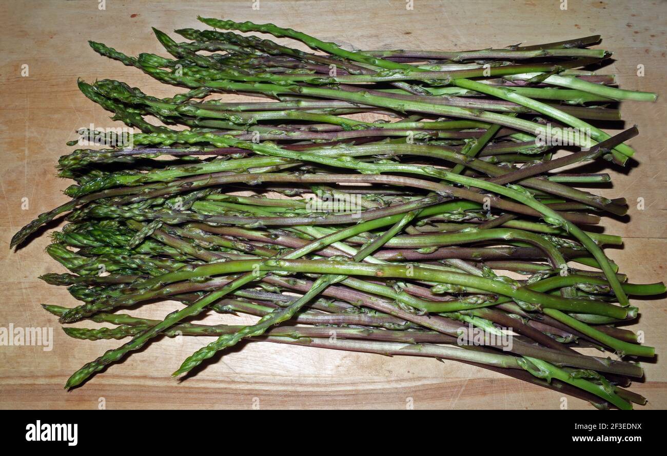 Wld asparagus (asparagus acutifolius), harvest in Sardinia, Italy Stock Photo