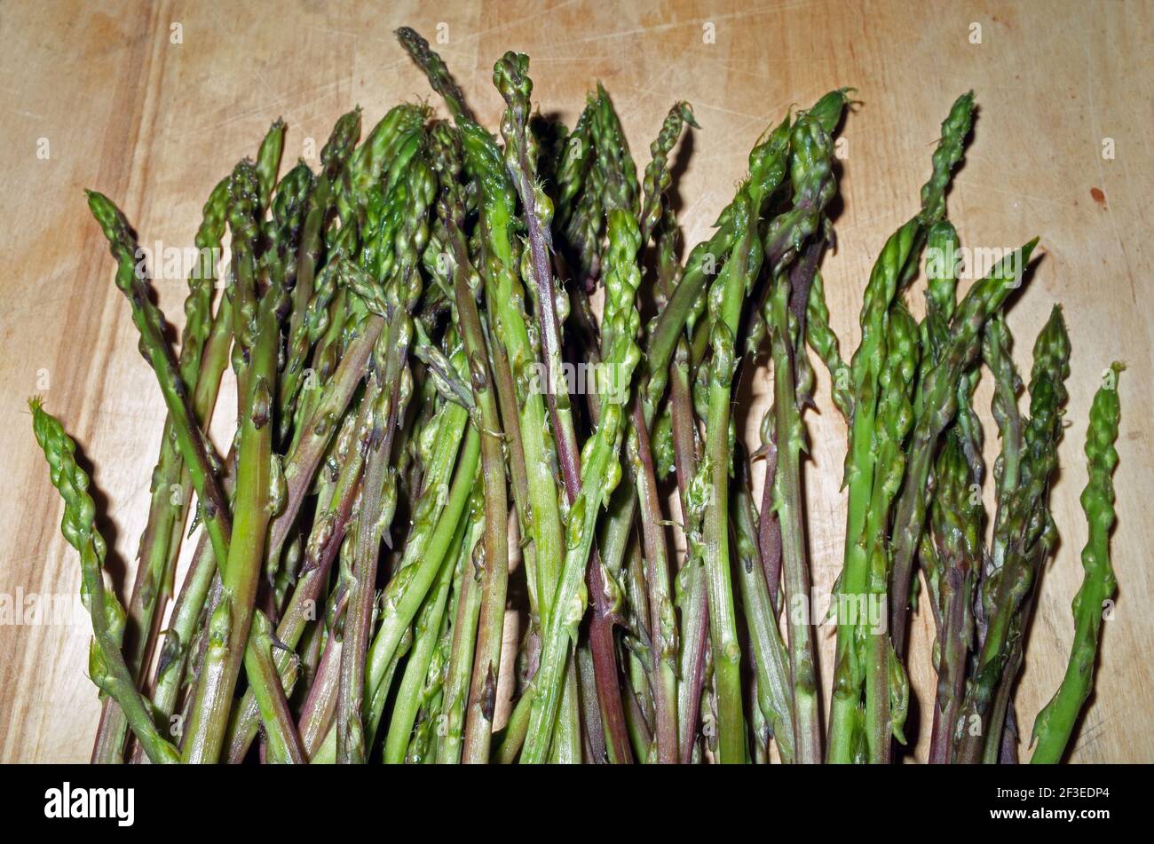 Wld asparagus (asparagus acutifolius), harvest in Sardinia, Italy Stock Photo