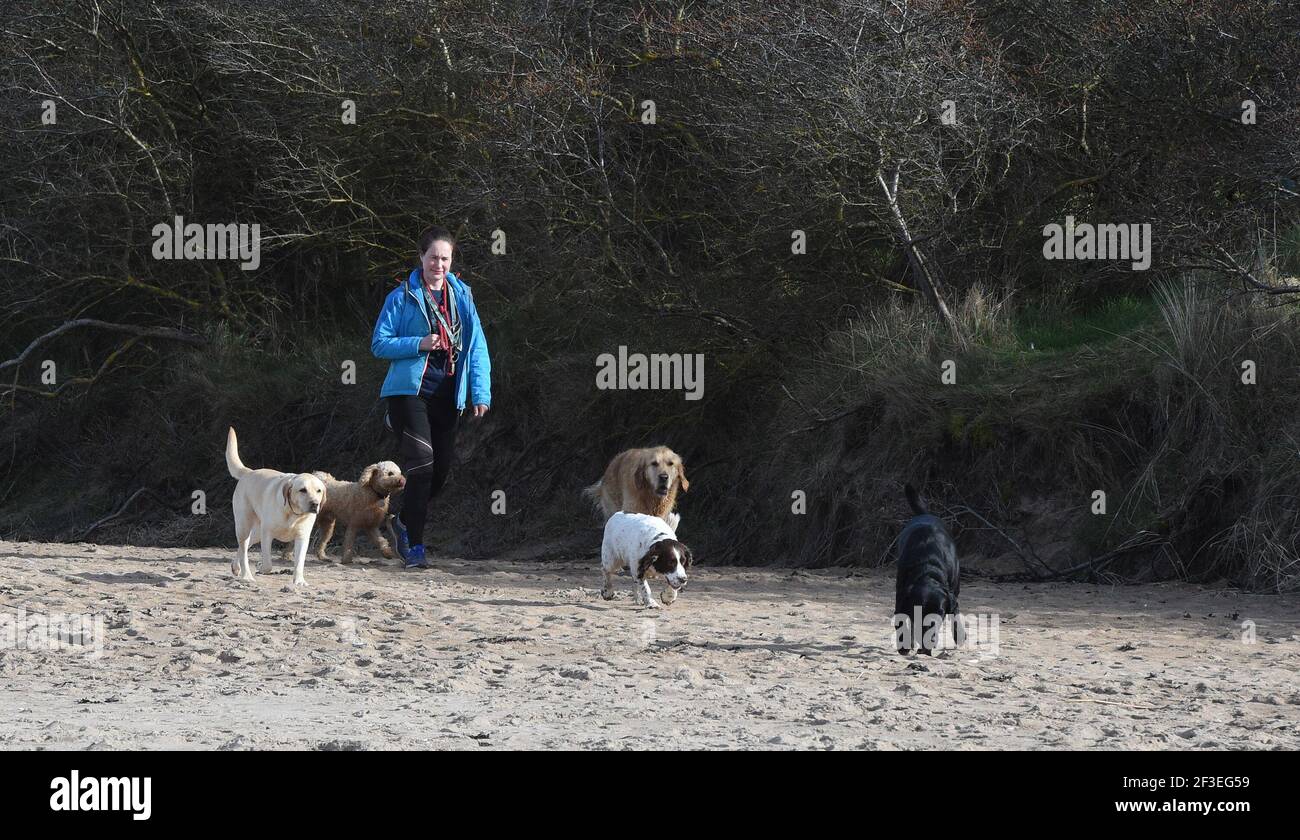 Gullane beach, east lothian hires stock photography and images Alamy