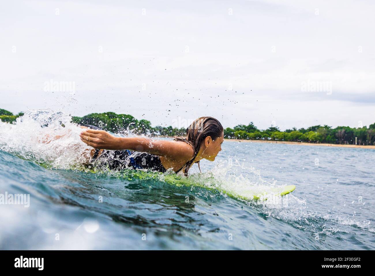 Girl on longboard surfing bali hires stock photography and images Alamy