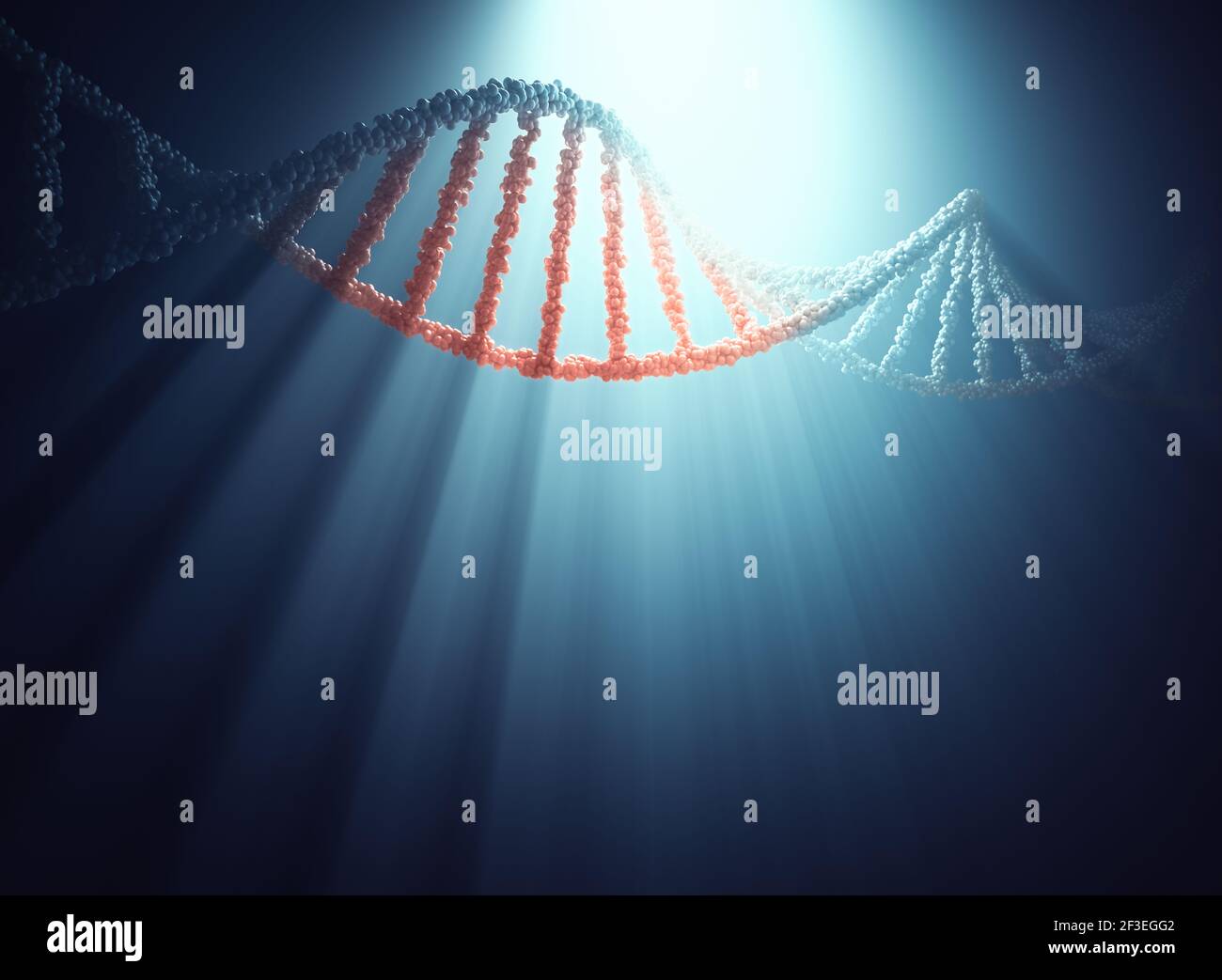 DNA molecule with back light creating shadow and beams of light. 3D illustration with clipping path included. Stock Photo