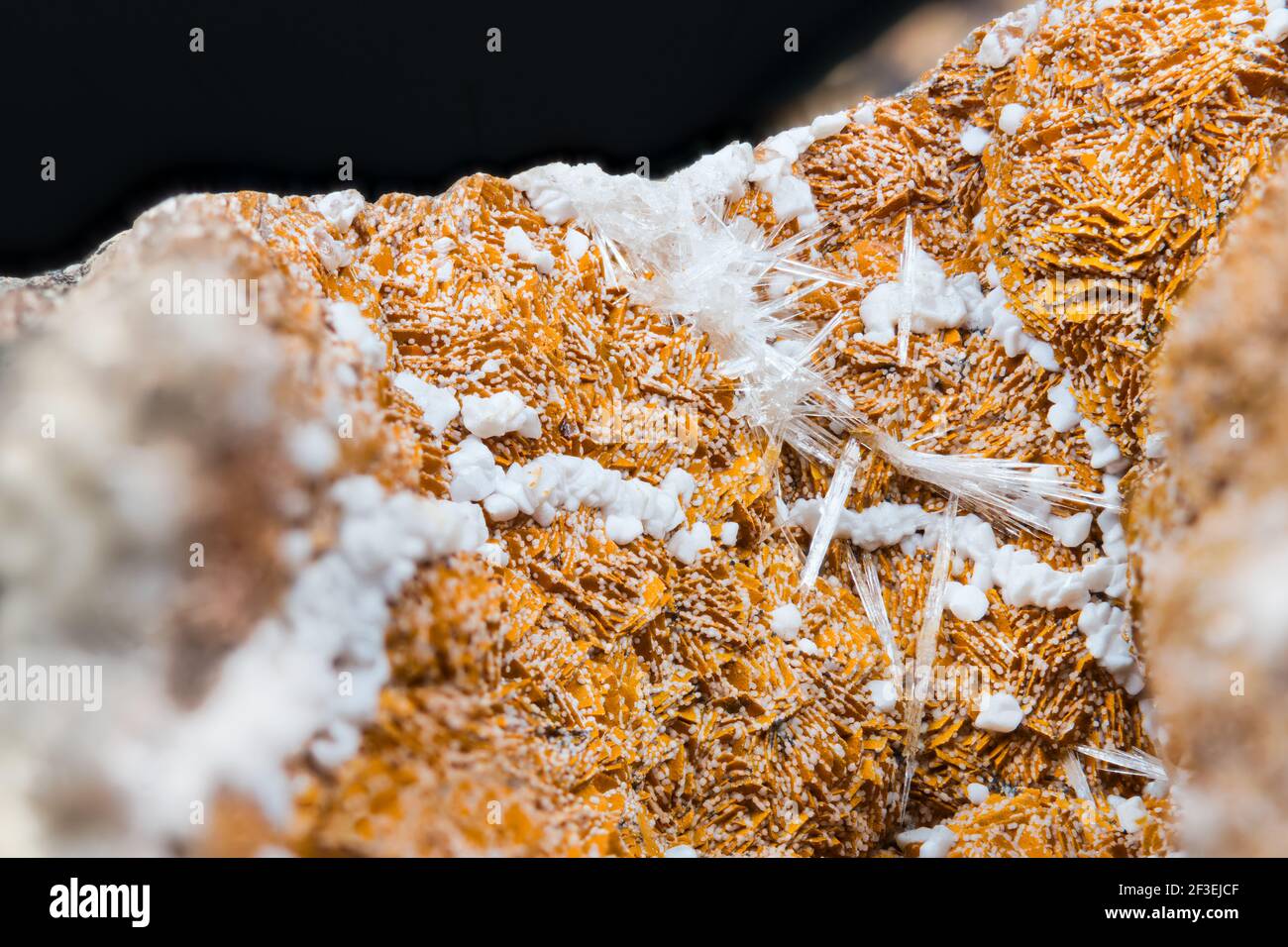 Detail of orange and white aragonite with clusters of crystals on black background. Closeup of