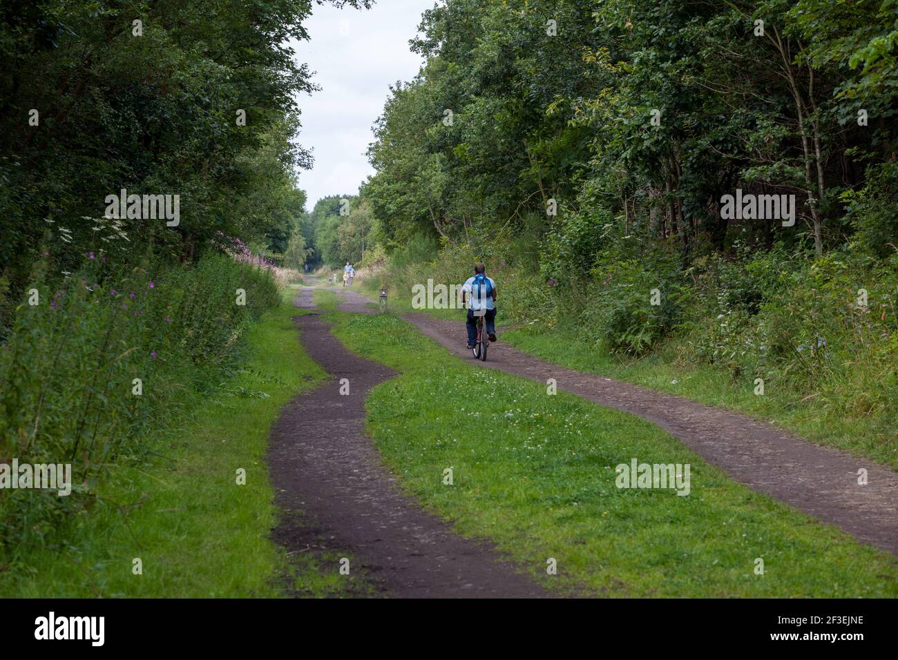 Summer view of a cyclist riding along the Trance Pennine Trail cycle route near Penistone in South Yorkshire Stock Photo