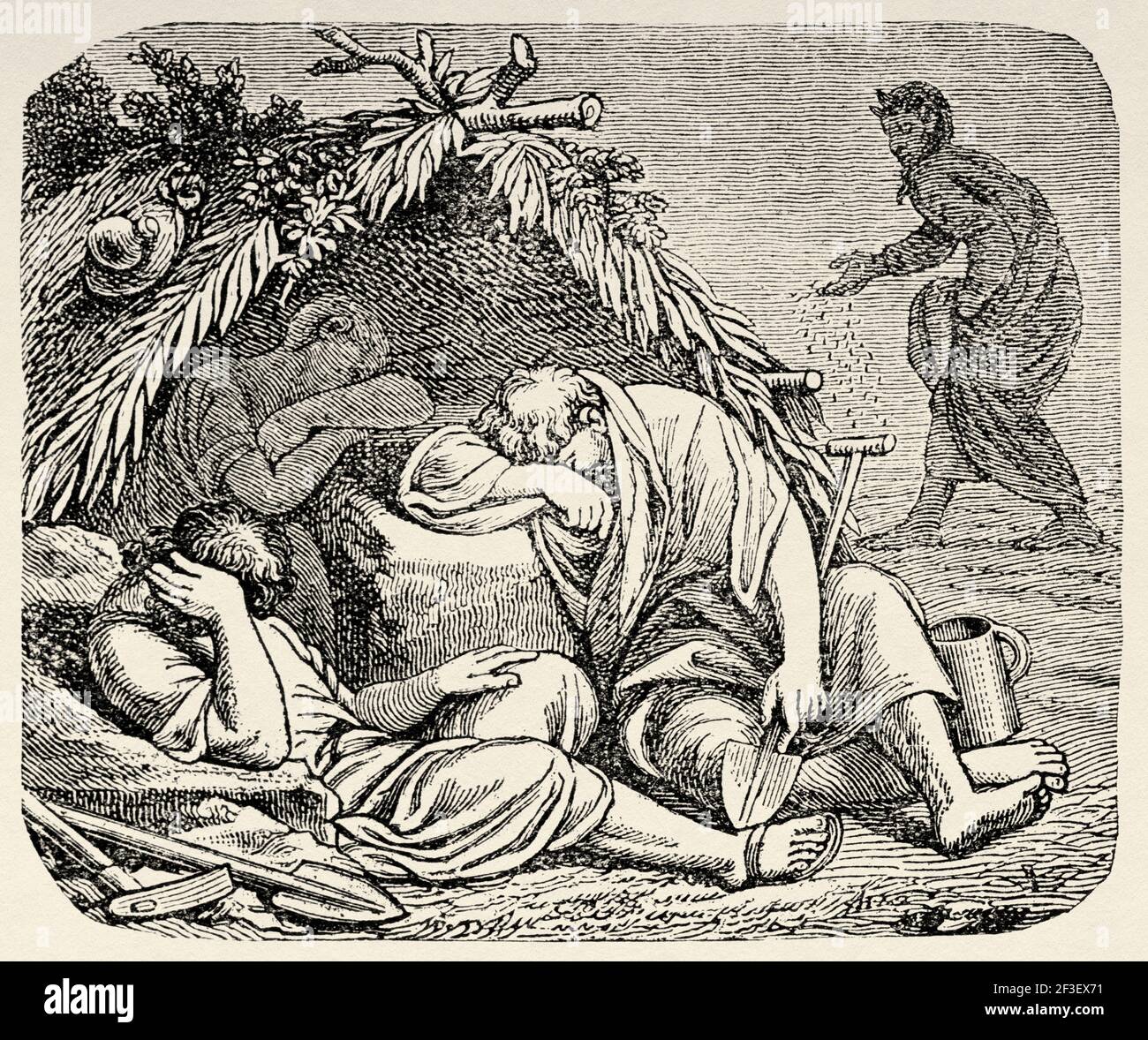 Parable of the wheat and tares hi-res stock photography and images - Alamy
