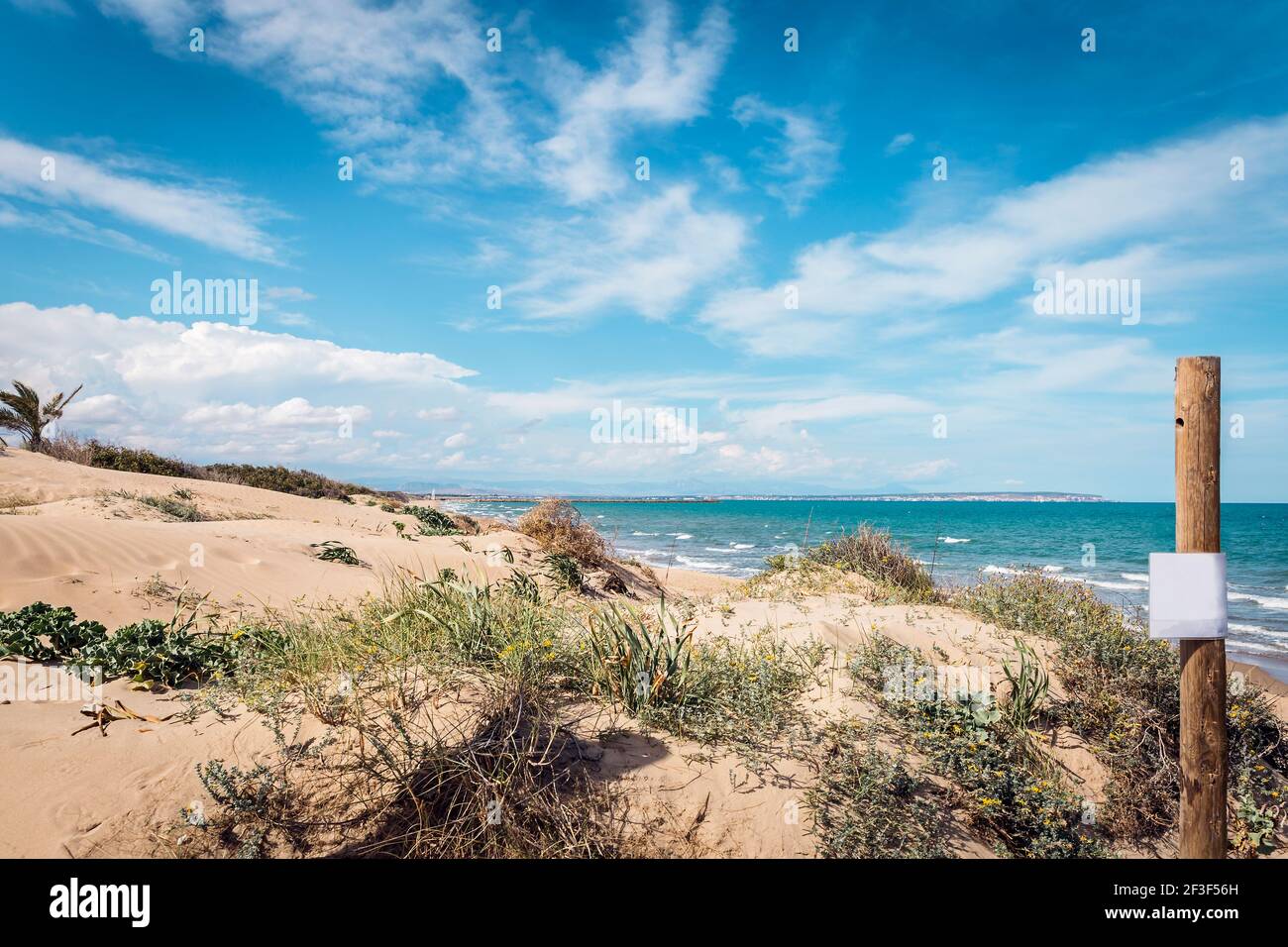 landscape of wild beach with dunes and vegetation in Guardamar del Segura, Alicante. Spain Stock Photo