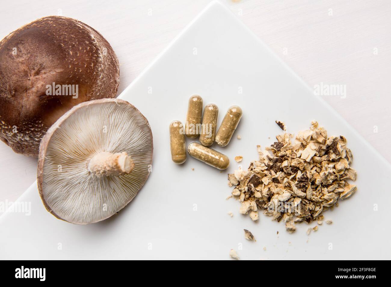 Shiitake Lentinus edoides mushroom supplement capsules with fresh Shiitake mushrooms and powdered on white minimal background. Flat lay view. Stock Photo