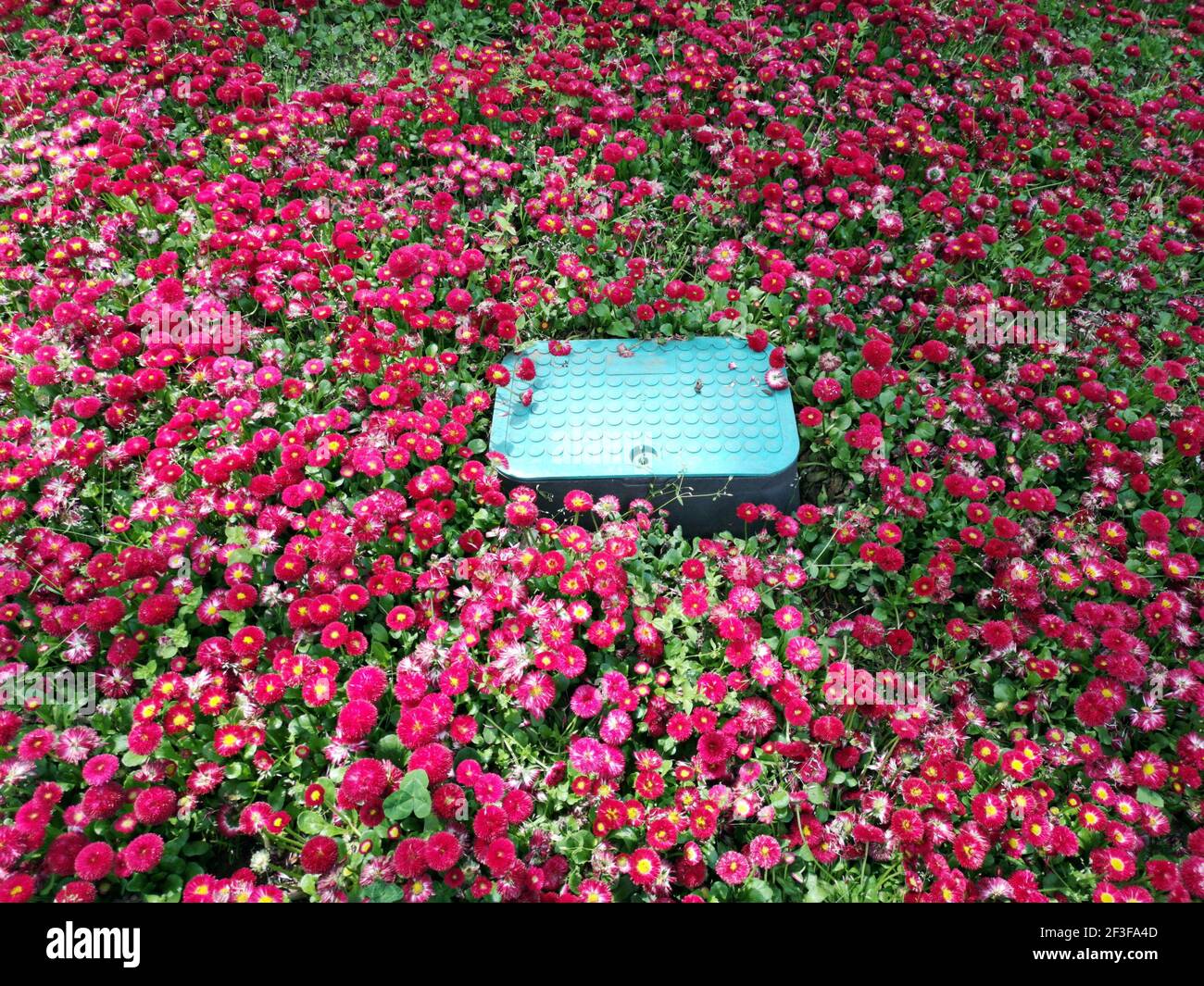 A highangle shot of a drip irrigation valve box in the park with
