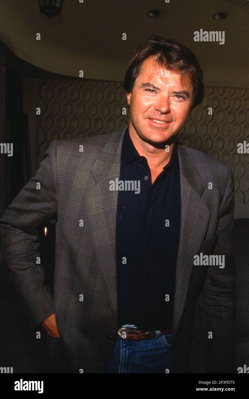 LOS ANGELES - JULY 18: Actor Robert Urich attends the NBC Fall TCA Press Tour on July 18, 1990