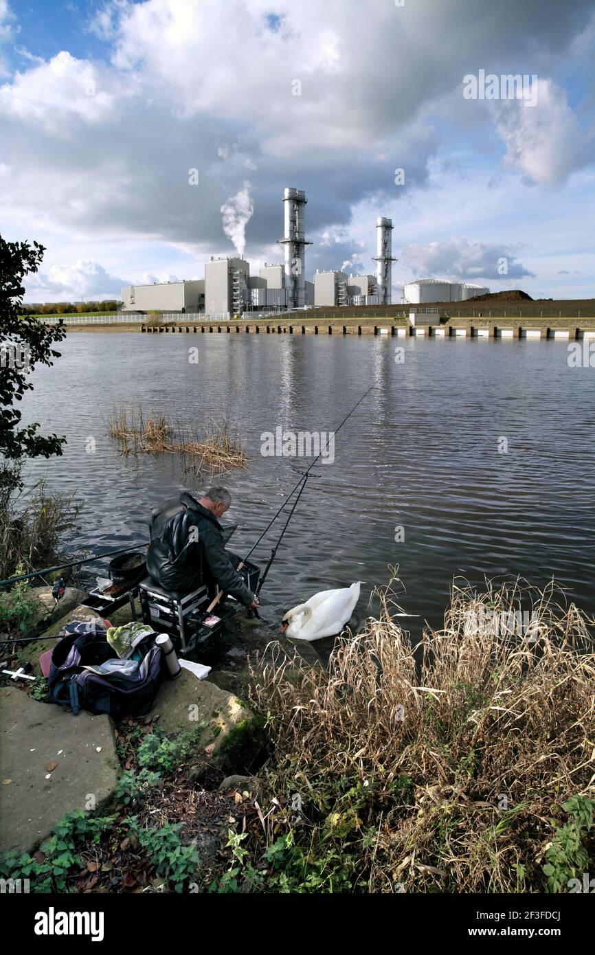 Angler and swan on the River Trent opposite Staythorpe C combined cycle gas turbine (CCGT)  power station, near Newark-on-Trent, Nottinghamshire. Stock Photo