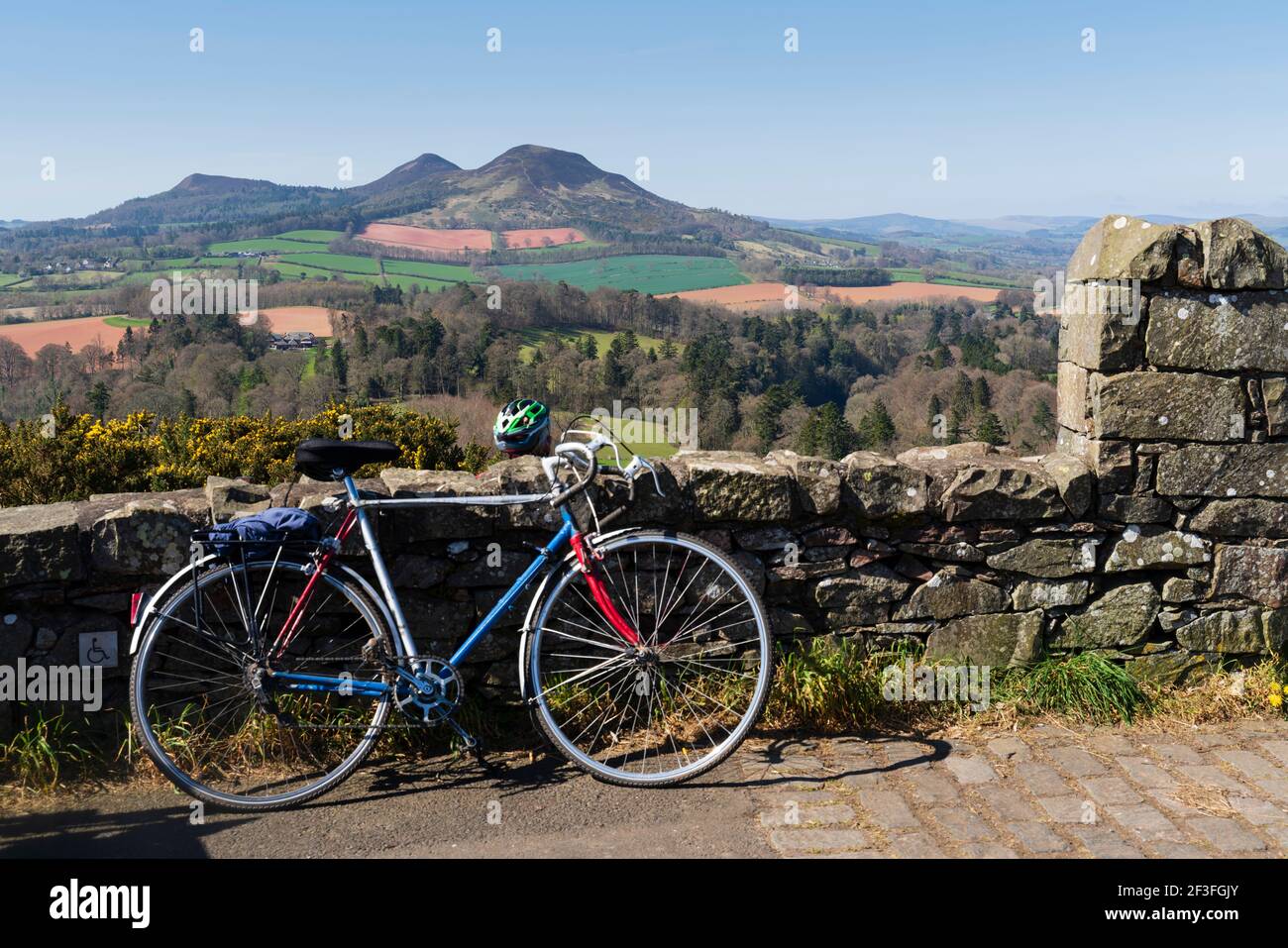 Melrose eildon hills gorse mountain hi-res stock photography and images ...