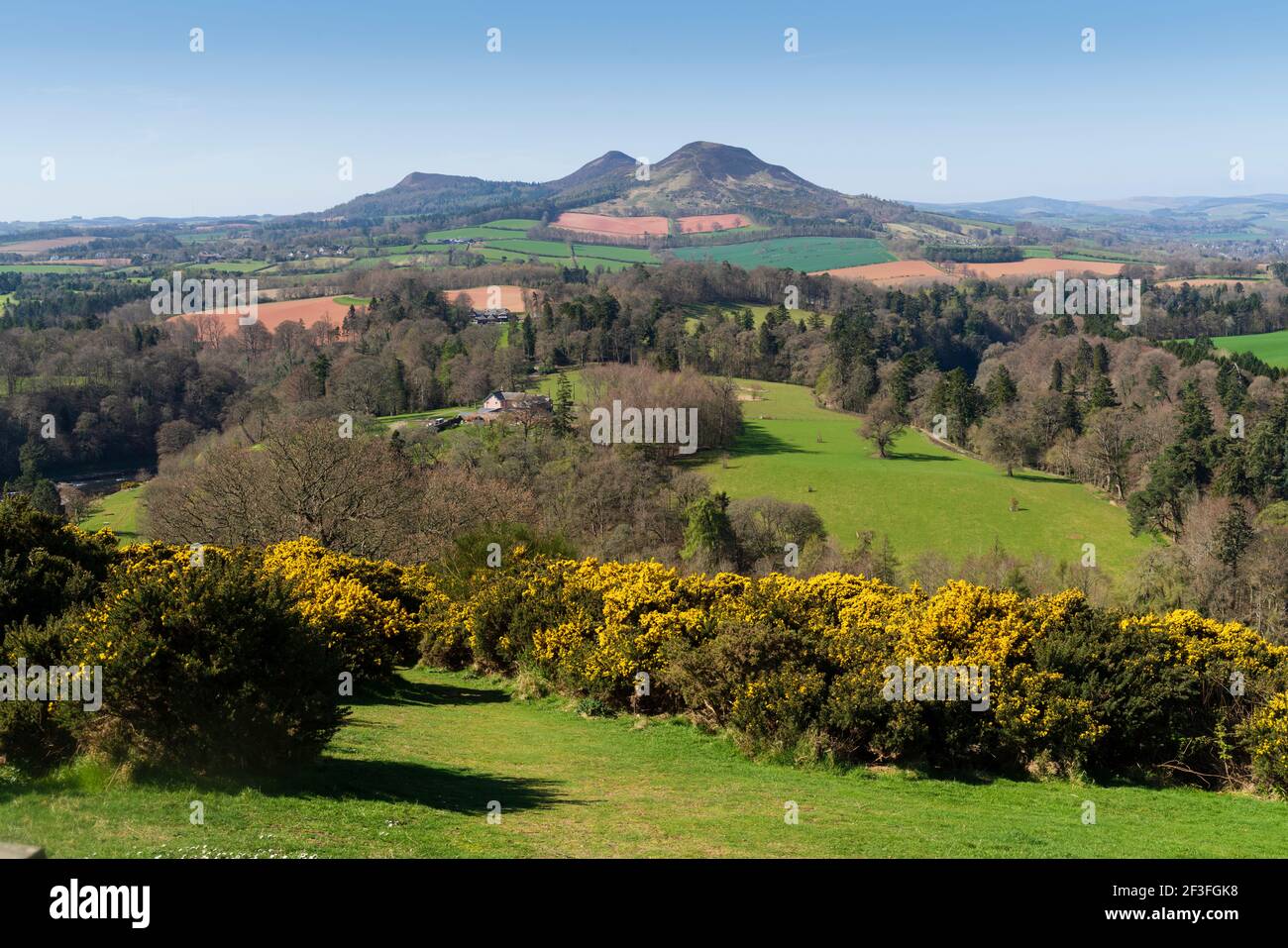 Melrose eildon hills gorse mountain hi-res stock photography and images ...