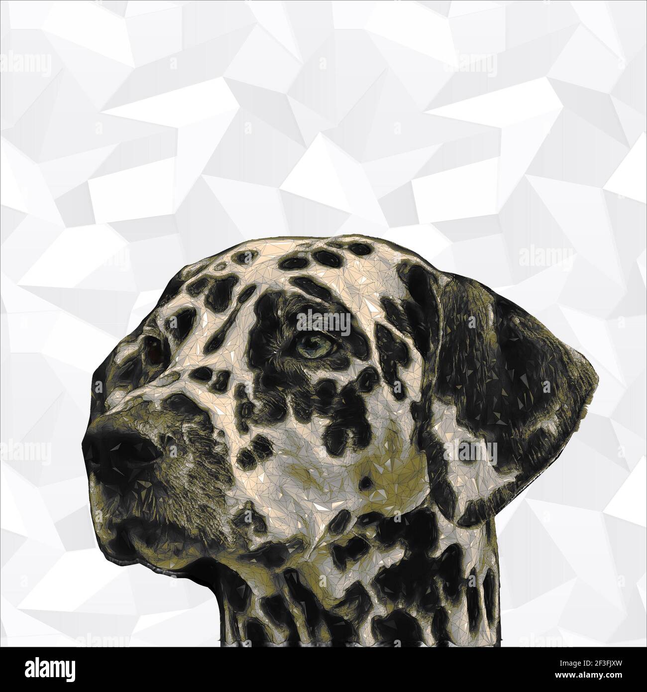 Dalmatian dog illustration formed by polygons Stock Photo