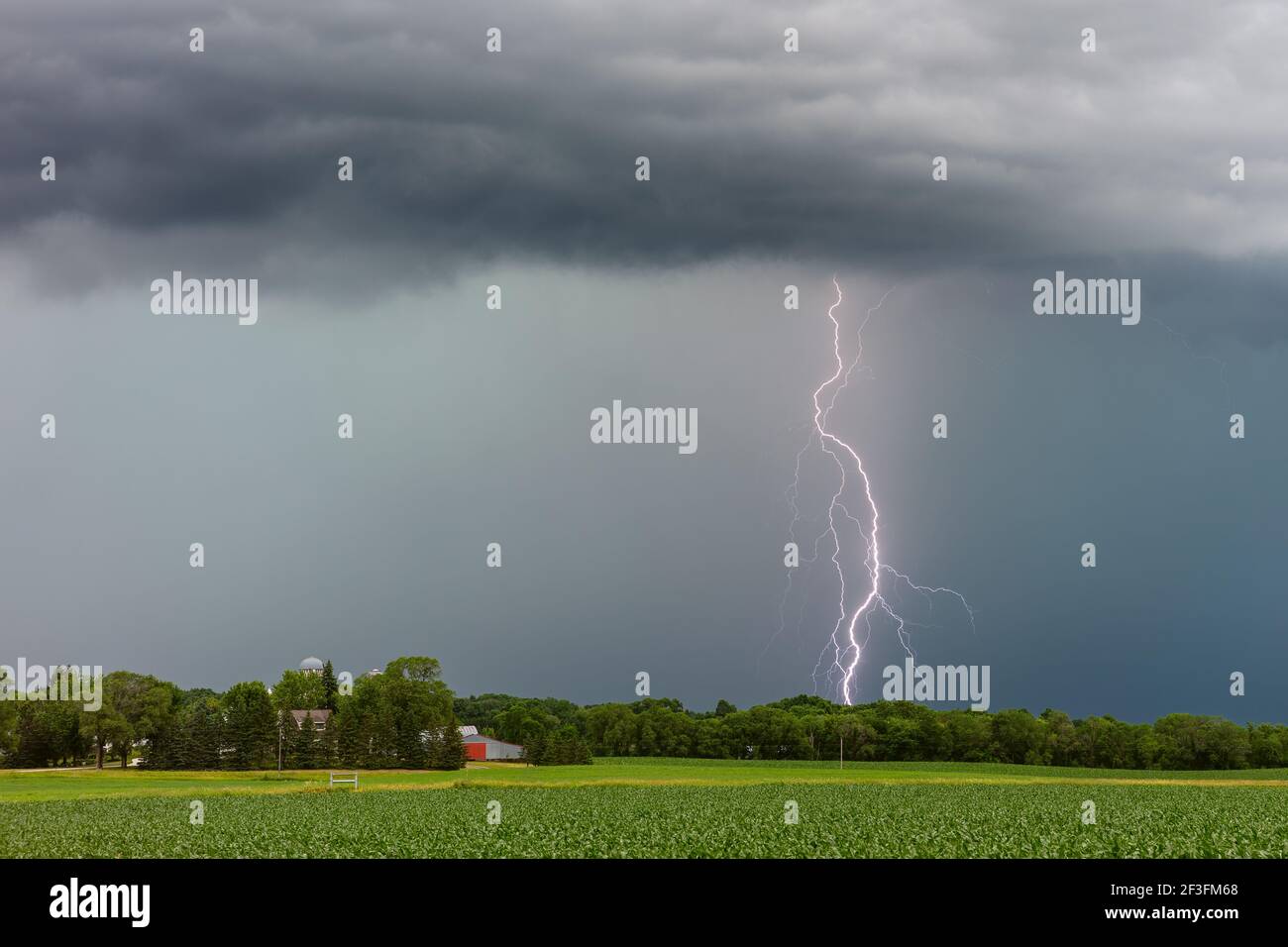 Thunderstorm and lightning bolt strike over a farm field in Minnesota Stock Photo
