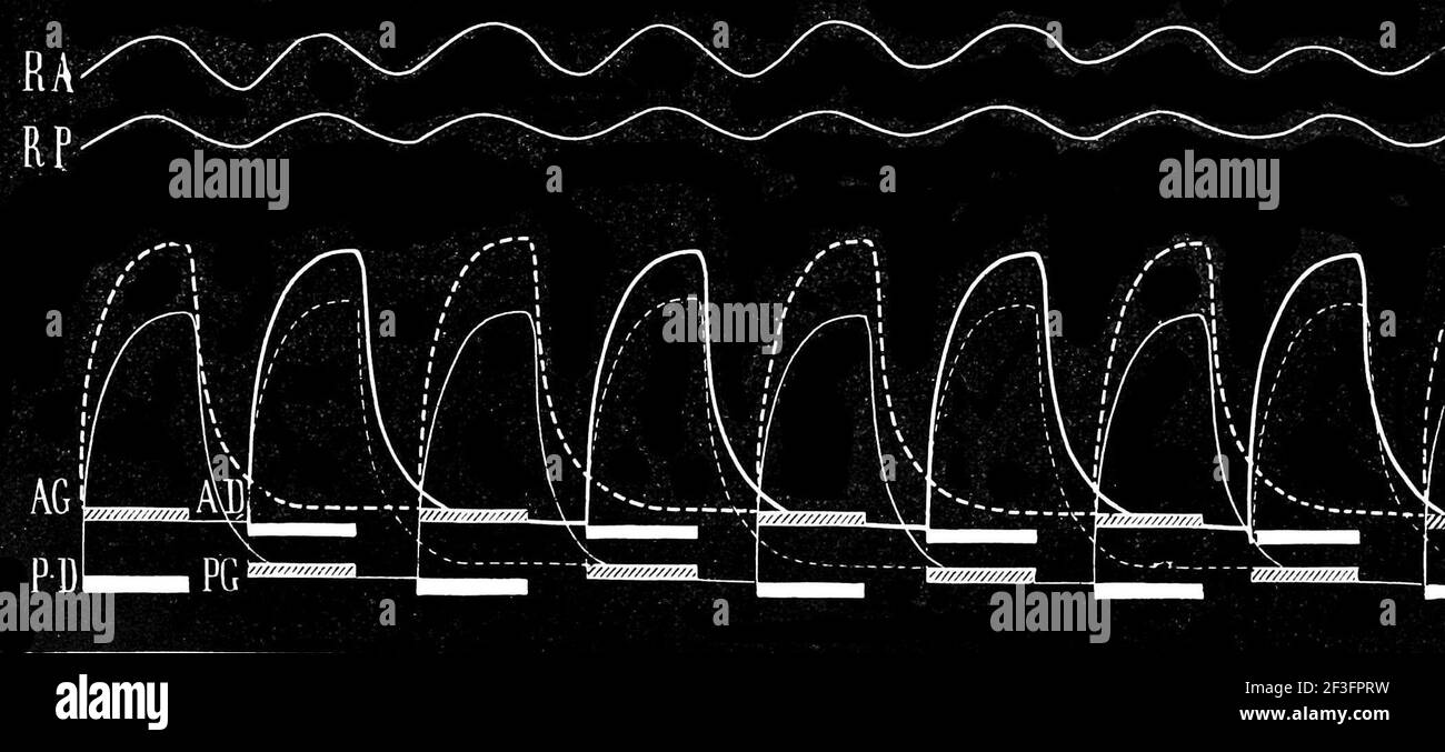 Equine Graph Graphic and notation of a horse trot Stock Photo - Alamy