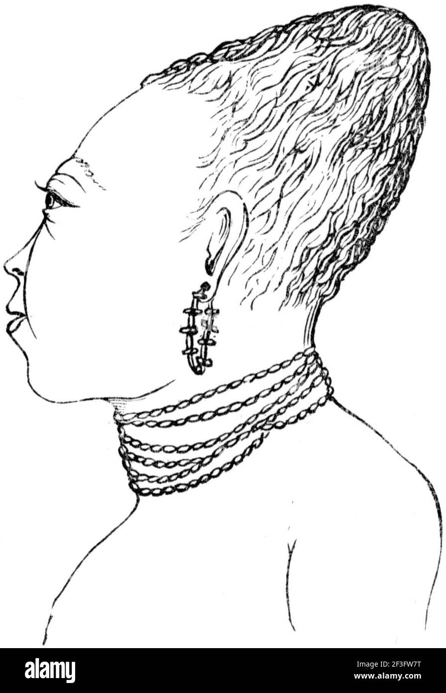 Flat headed Cut Out Stock Images Pictures Alamy