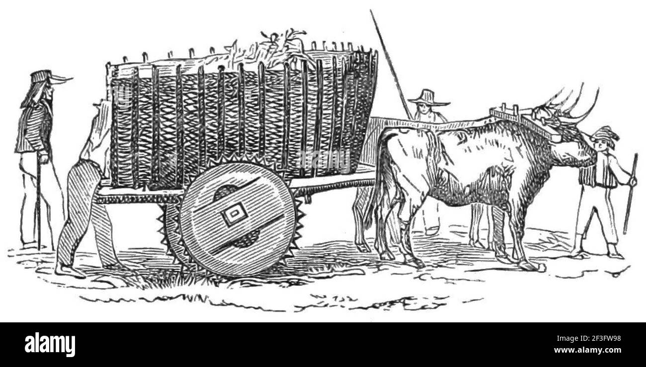 Ox cart drawing hi-res stock photography and images - Alamy