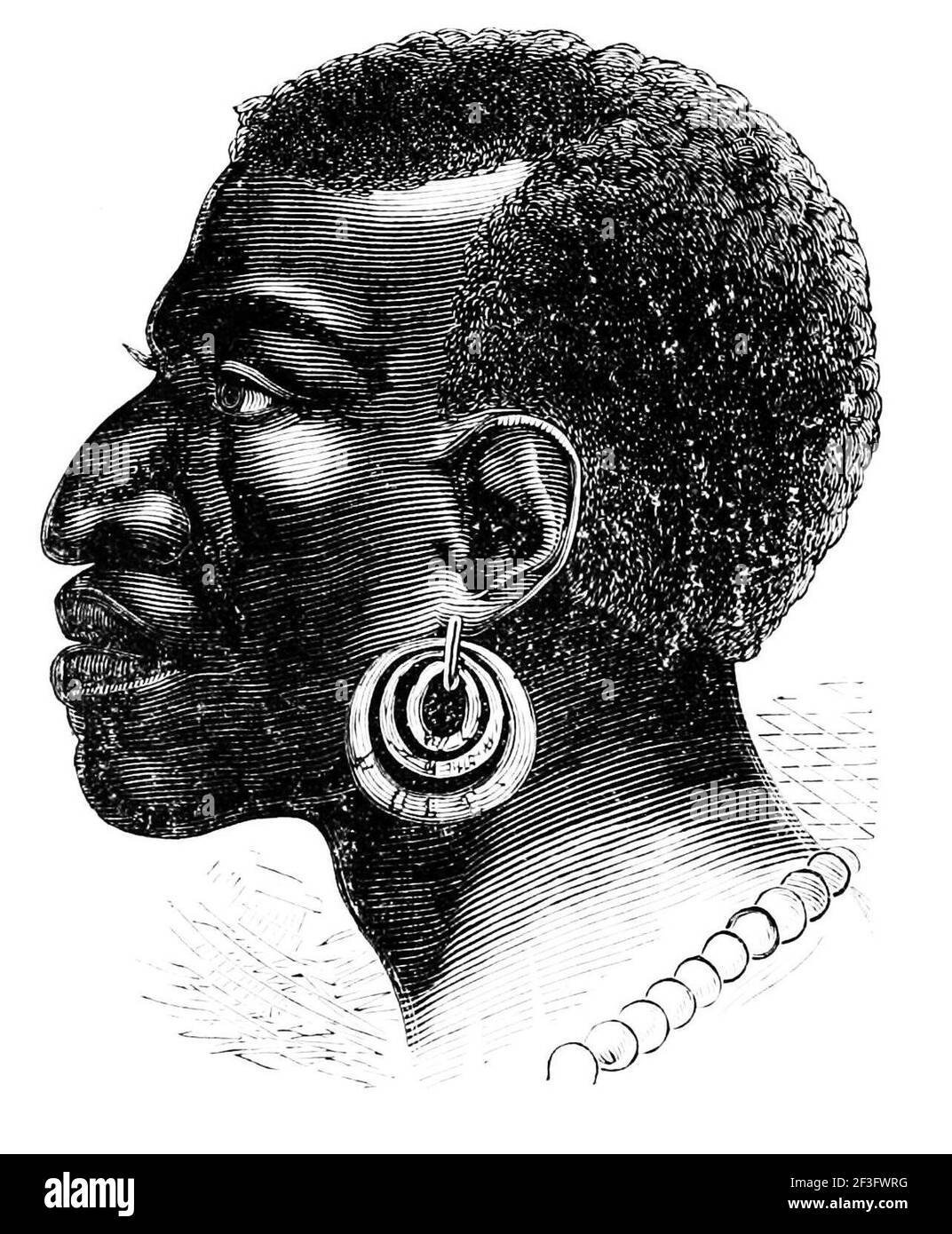 Kiwai island hires stock photography and images Alamy