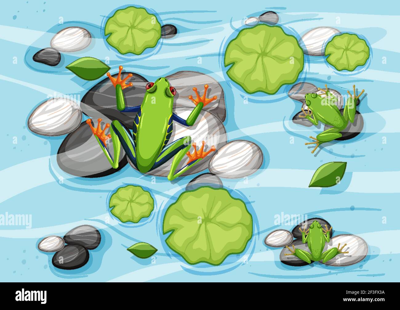 Aerial scene with frogs and lotus leaves in the pond illustration Stock ...
