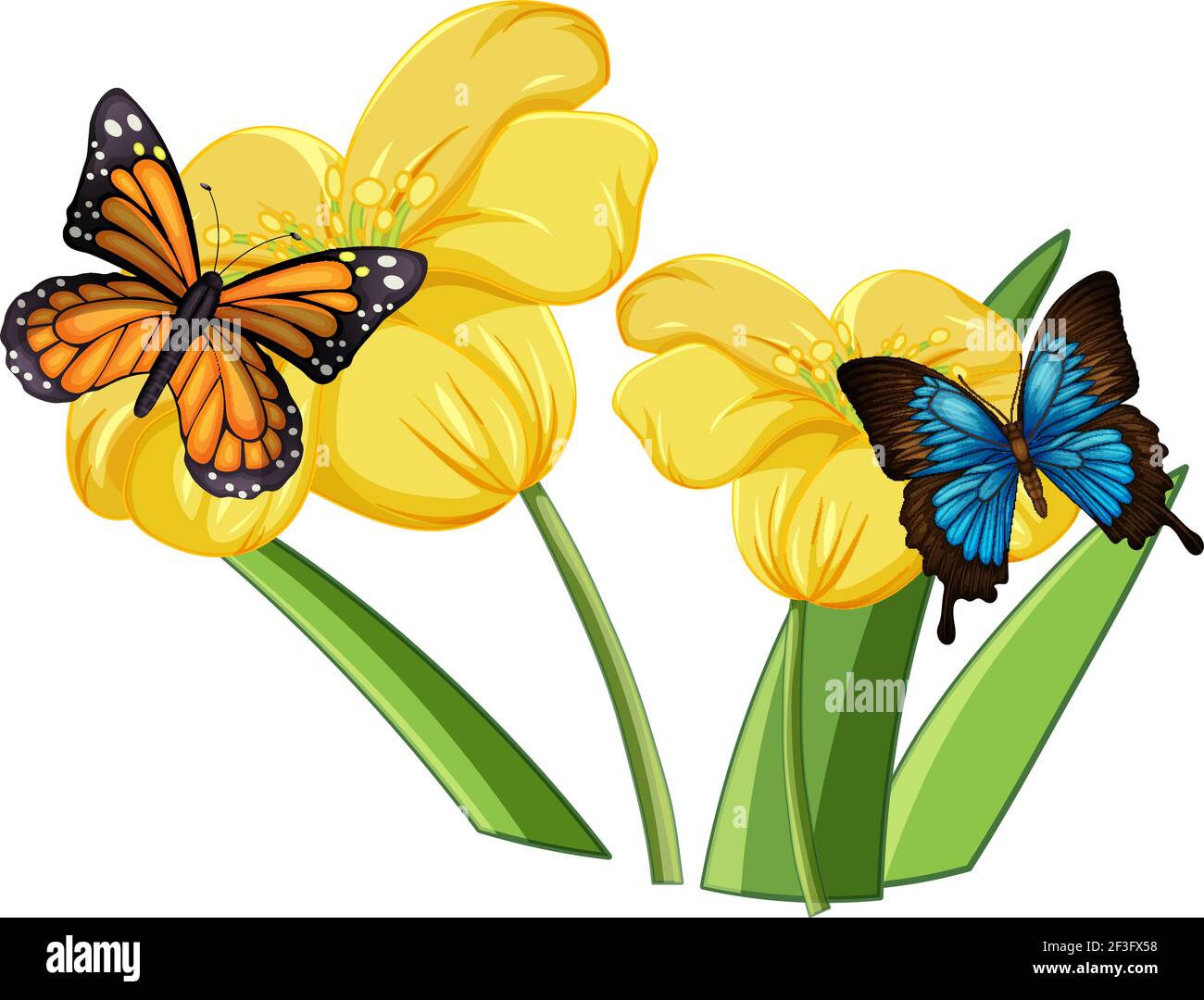 Close up of butterfly on the flowers illustration Stock Vector Image ...