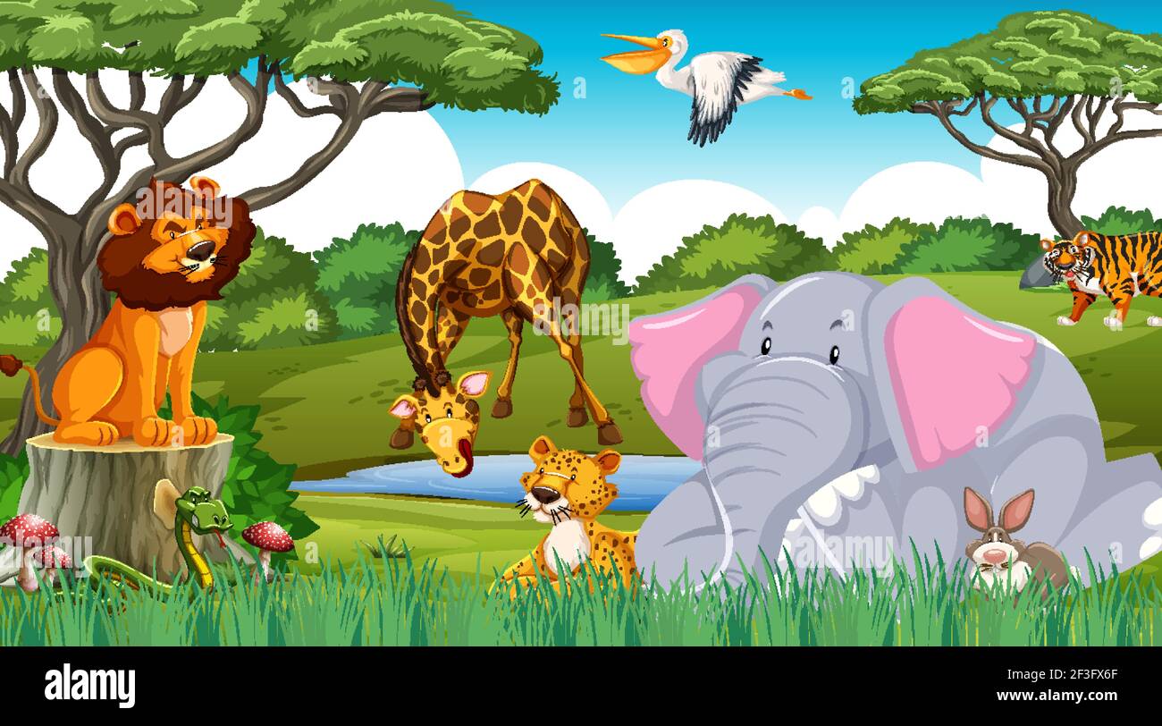Wild animals in the jungle illustration Stock Vector Image & Art - Alamy