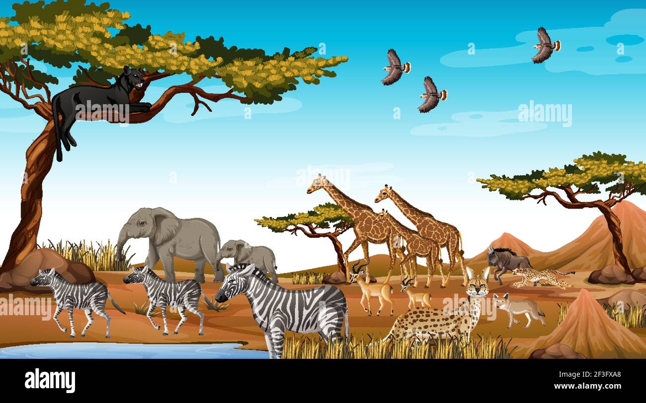 Group of Wild African Animal in the forest scene illustration Stock Vector  Image & Art - Alamy