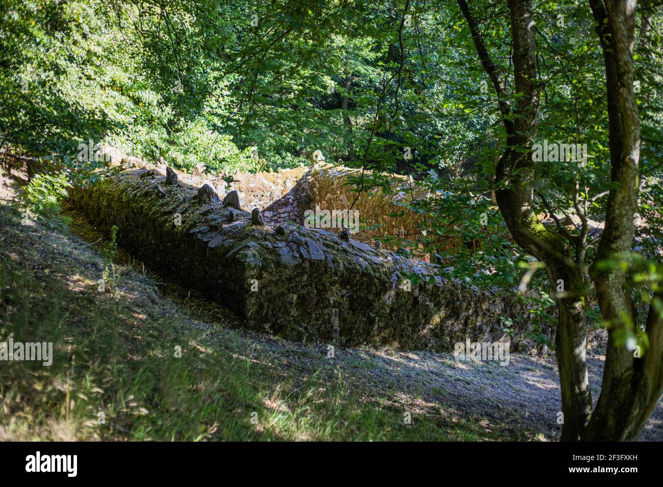 Medieval castle ruin of the Staufer on the Glauberg Stock Photo