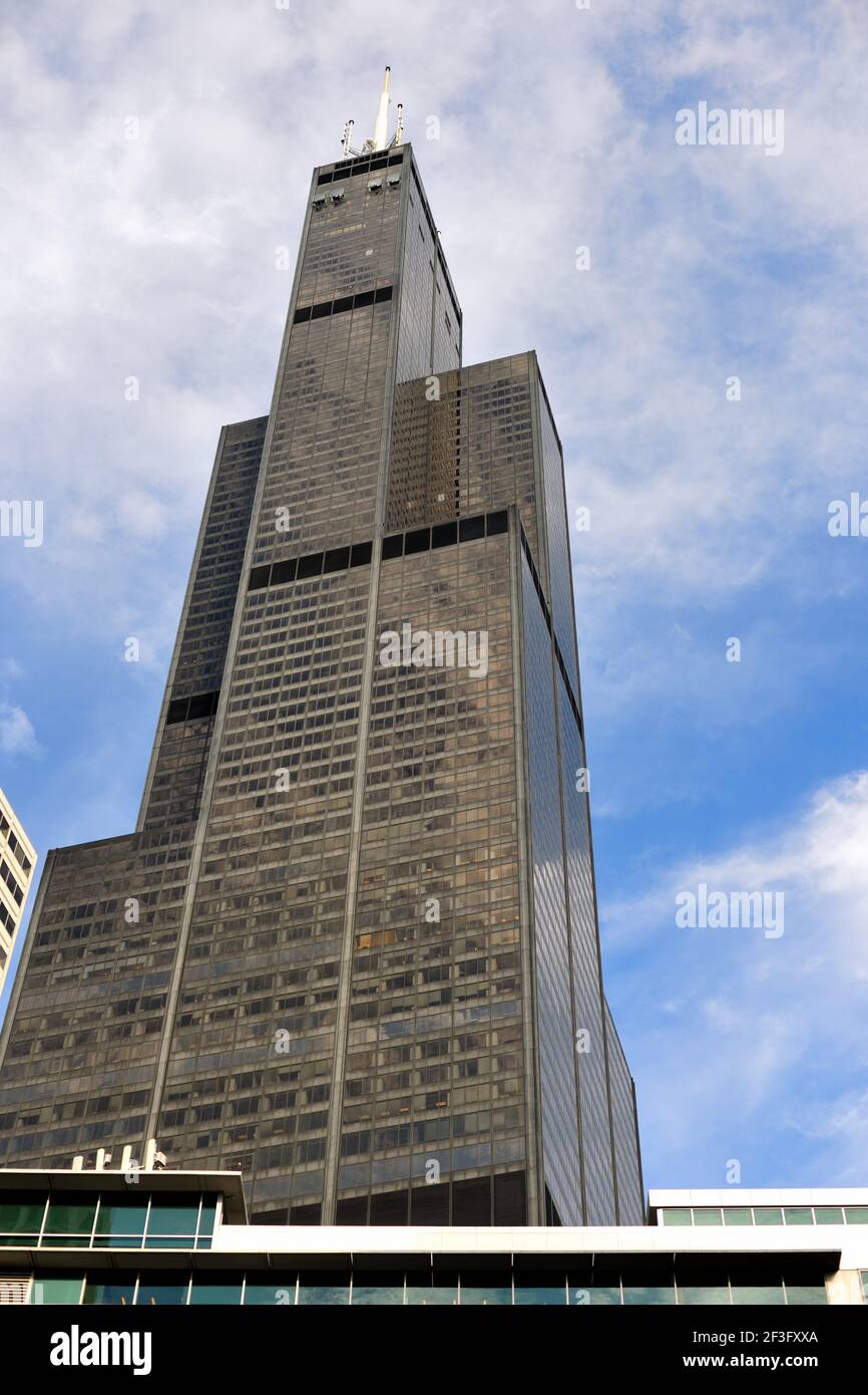 Chicago, Illinois, USA. The Willis Tower (formerly Sears Tower) towering over downtown and the 