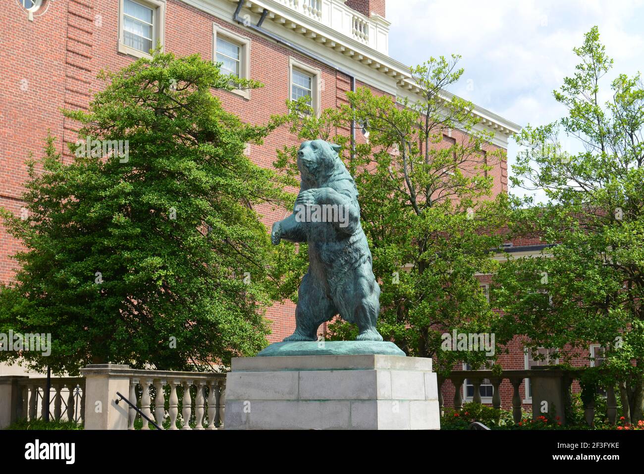 Brown Bear Statue stands since 1923 in Brown University, Providence