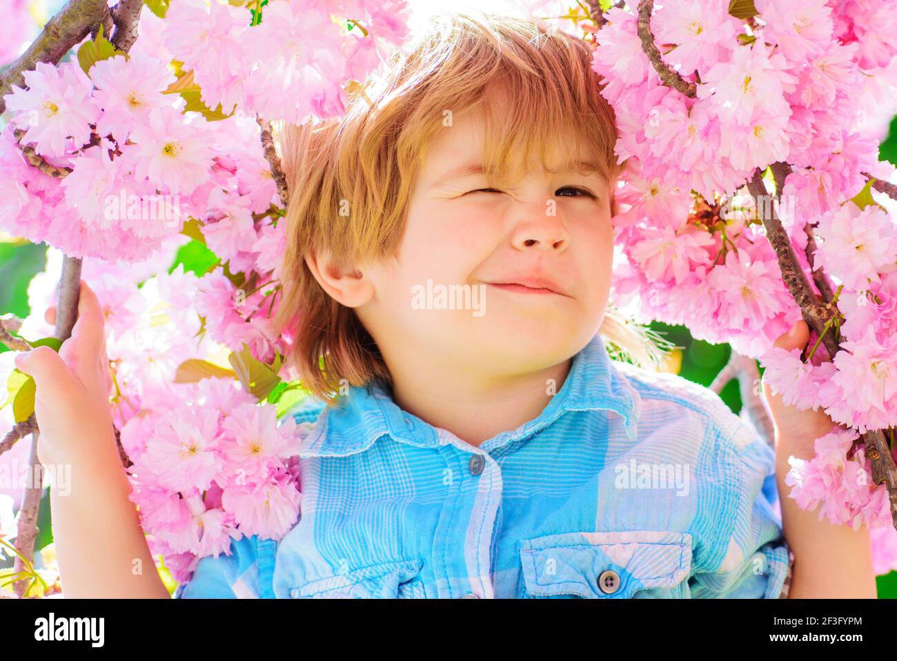 Winking child among blossoming sakura. Cute kid boy in cherry bloom in spring garden. Stock Photo