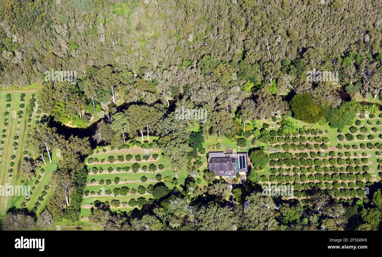 Aerial views of Fruit orchard farm in Queensland, Australia Stock Photo