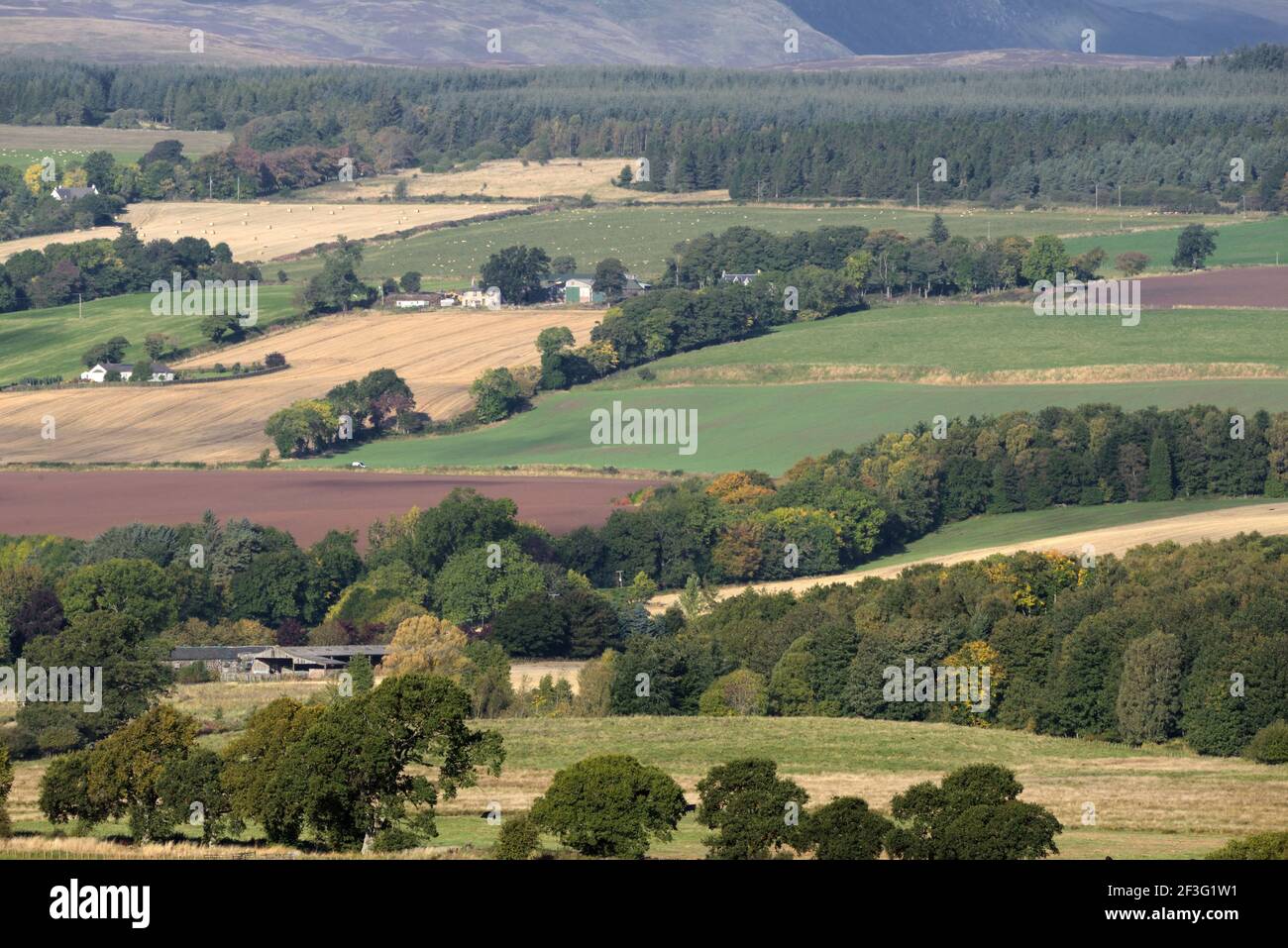 Farmland landscape near Findo Gask in Perthshire, Scotland, UK Stock Photo
