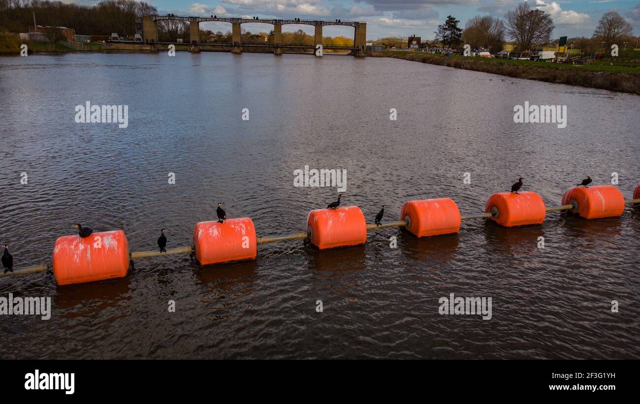 the life preserving rescue equipments on a water surface - birds ...