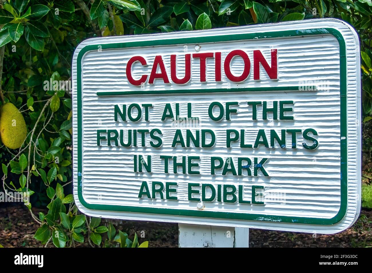 Caution sign at the Miami-Dade County Redland Fruit and Spice Park in Florida. Stock Photo