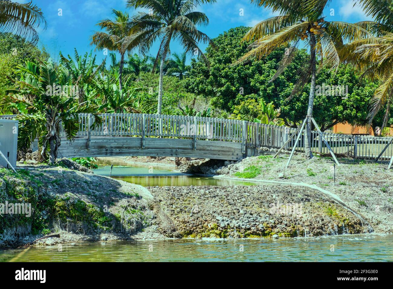 The wooden bridge leading into the Asian section of the MiamiDade County Redland Fruit and